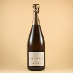 Blanc de Noirs Extra Brut